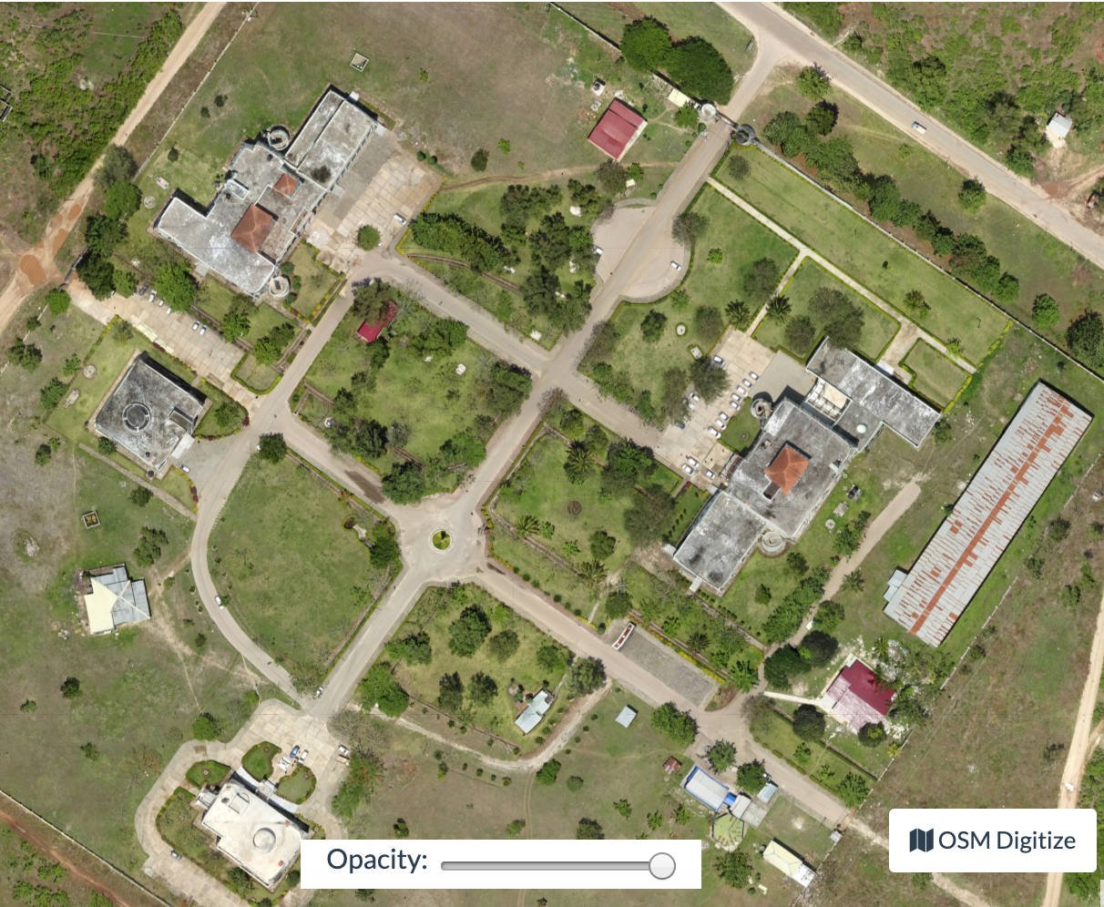 image of OpenDroneMap orthophoto
