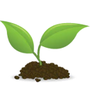 image of seedling
